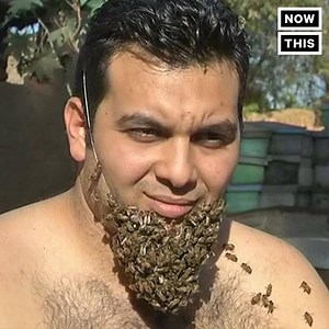 2.4M views · 3K shares | This man is raising awareness about bees with his unusual beard | NowThis | Facebook