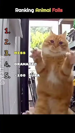 Funny animal fails. Number 1 is hilarious😂