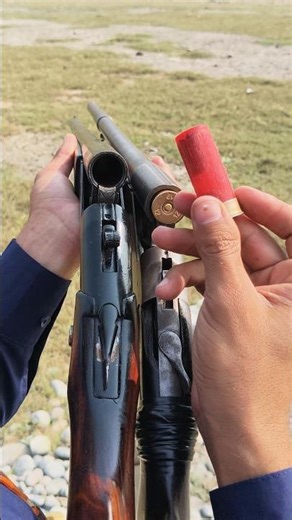 Top 2 Single Shot Classic 12 Gauge Shotguns!