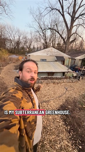 Spicebush Woodcraft on Instagram: "Let’s check the tropicals after a week of sub freezing temperatures to see in real time how this underground greenhouse, with minimal supplemental heat, works when it is supremely cold outside here in Ohio. Lemons will be ready soon! Follow along as I continue to evolve this structure over winter to be even better at keeping long tropical plants alive all winter. #greenhouse #ohio #homesteadersofinstagram #letsgrow #columbus #explore #foryou #fyp"