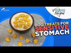Recipe: Dog Treats for Sensitive Stomach