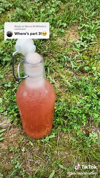 The Art of Making Fruit Kvass: A Guide to Fermented Goodness
