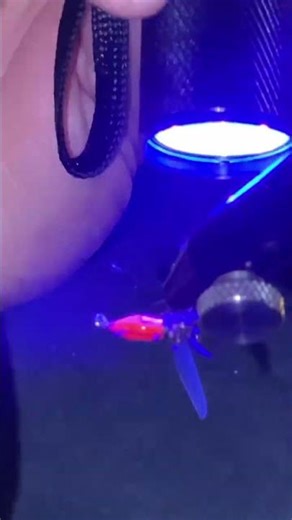 Easiest hyper-realistic Fly to tie #flytying #beginnerflytying #flytyingforbeginners #flyfishing