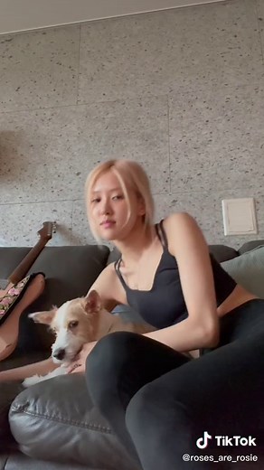 A Day in the Life of Rosie and Hank | Rosie Hank TikTok Compilation
