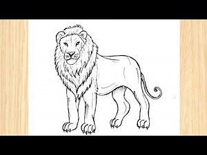 How To Draw A Lion Easy Step By Step | Lion Drawing