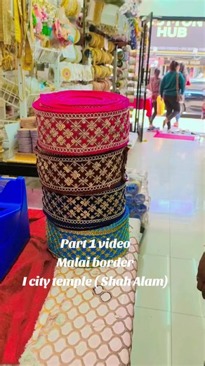Zees Rajasthani on TikTok