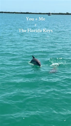 📍 Big Pine Key RV Resort 💰 Half off with Passport America RV membership 🌊 Right on the ocean Have more money for adventures when you spend less money on RV sites! $49 a year and make your money back on your first night of saving! Check out Passportamerica.com #floridakeys #rv #passportamerica #rvtrip #rvresort | Passport America