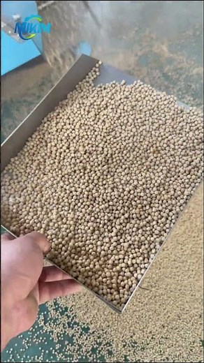 Step by step on How to produce Fish Feed with our Fish Feed Pet Food Extruder Machine？#fishfeed