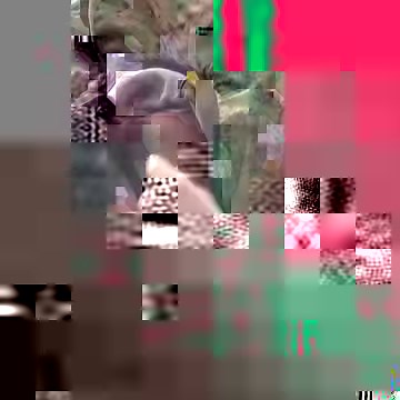 Meet our Chemical, Biological and Radiological Defence (CBRD) soldiers from 39th Battalion, Singapore Combat Engineers (39 SCE). These soldiers are highly trained professionals in terms of tackling any CBR related threat in Singapore. Here's a peek into how they train on their heat acclimatisation and endurance when operating in their protective suit, which helps prepare them to be always operationally ready for any CBR threat in Singapore! #ProtectandPreserve #AdvanceandOvercome Video by: PTE I