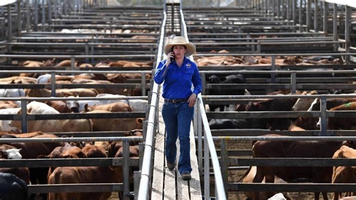 Un accord de libre-échange entre l’Union européenne et l’Australie, nouvelle crainte du monde agricole