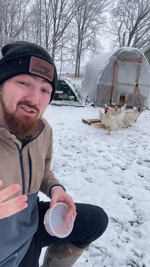 The Benefits of Red Pepper Flakes for Healthy Chickens