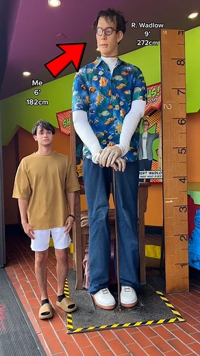 2.4M views · 10K reactions | TALLEST MAN EVER!! | Dobre Brothers | Facebook