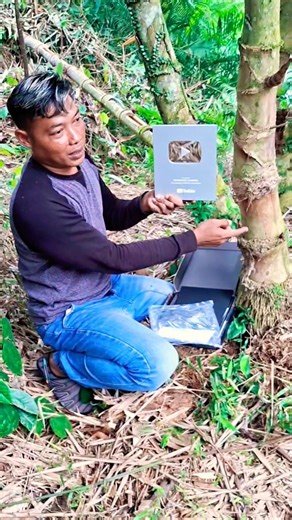 Bambu petuk yutube 😱 puncak saksreber #viral #medsosyutube #shorts