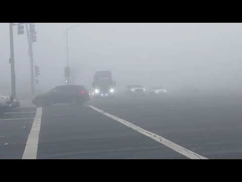 2479 Peterbilt 520 McNeilus ZR garbage truck in the fog