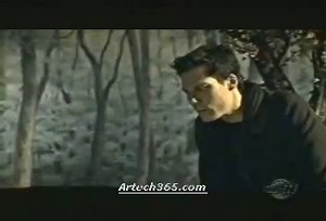 billy talent-fallen leaves