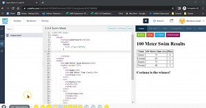CodeHS Web Unit 3.3.4 Swim Meet