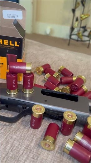 12 Gauge MINI SHELLS!! Do you have some?!?! #2a #12gauge #shotgun #gun #safe #guns #ammo #mossberg