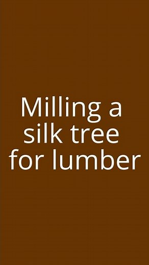 Milling a silk tree (a.k.a. Mimosa tree) for lumber
