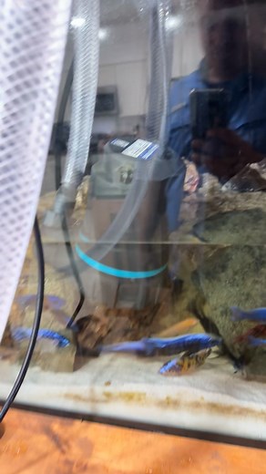 Bobby Hunter Jr. on Reels