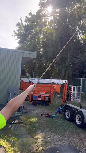 Colourful Tree Lopping on Reels | Facebook
