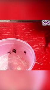 6.3K views · 32 reactions | Floral Cascade Planter Fountain 華 #diy #planter #fountain | RusticKraft | Facebook