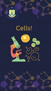 53 reactions | In the Biology lab, teacher Iman demonstrated an experiment for the students to show them the cells of living beings. Teacher Iman explained how to prepare a sample from vegetables (onions, peppers, etc.) and how to use the microscope. The curious students followed the procedures and saw cells up close for the first time! #school #education #kurdistan | Lara School | Facebook
