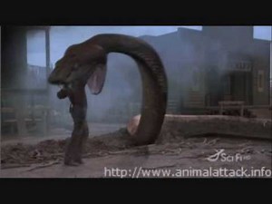 Movie Stills From Copperhead (2008)