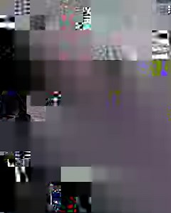 178K views · 6.8K reactions | Beautiful Blue Weimaraners They Are Stunning | World Of Puppies | Facebook