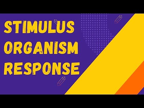 Stimulus-Organism-Response Model | S.O.R Model