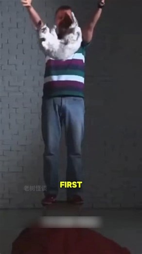 22K views · 105 reactions | Why do cats survive falls better than...