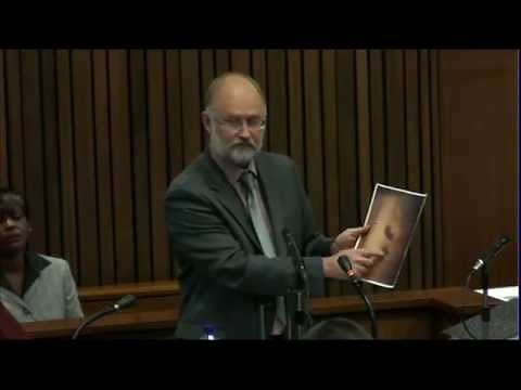 Oscar Pistorius Trial: Wednesday 16 April 2014, Session 1