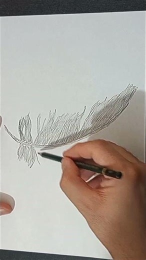 Drawing a turkey feather with a pencil