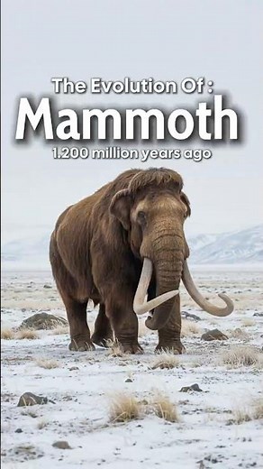🦣 The Evolution Of Mammoth | From Giants to Legends 💀 | 60s Evolution 🌍
