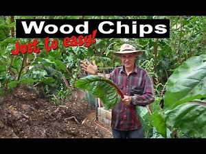 How To Woodchip Garden Grow SUPER Large Vegetables Easy Self feeding Mulch Less Water Needed No Till