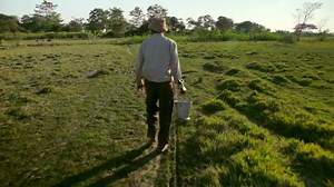 Man spends 40 years of his life planting trees every day to create a forest
