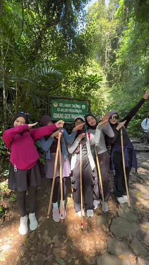 Halan Halan: Mengenal Lebih Dalam
