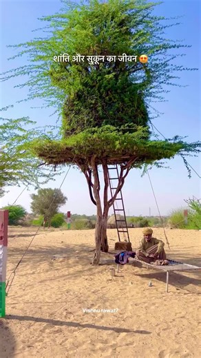 Discover Rajasthani River Ceremony Insights