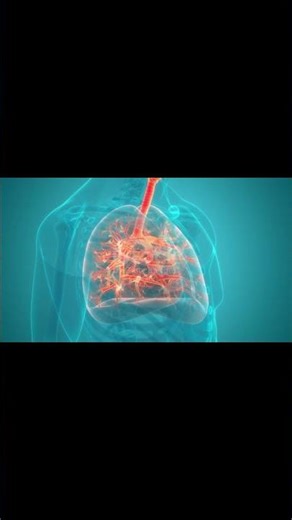 Here are 5 amazing lung facts – Part 1 Stay tuned for Part 2
