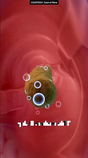 How does defecation occur?