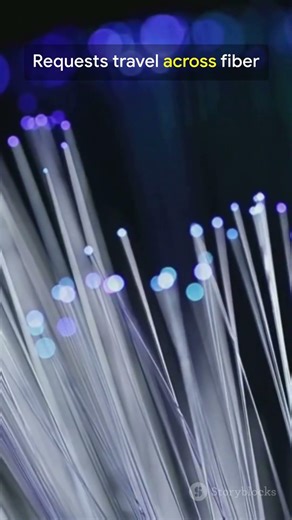 Interviewer: "What Is The Internet?" 99% Answer Wrong