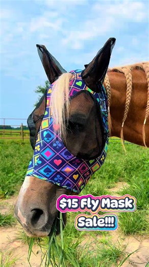 Final Day of Fly Mask Sale for Equestrians