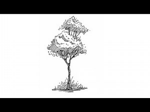 Pen Sketch Tutorial: How to Draw a Tree