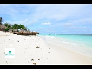 Zanzibar Travel Guide - Tanzania paradise