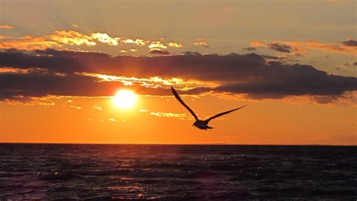 Beautiful! 2 Cape Cod beaches named in top 5 beaches in US for sunsets, study says