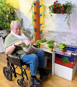 The Smart Way to Garden Indoors – Aquaponics Explained! | 5-Minute MAGIC