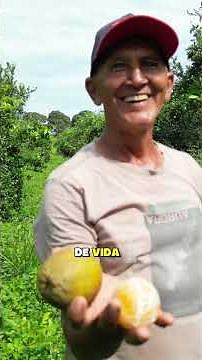 O Bolsa Família é um programa social do governo do Brasil reconhecido mundialmente