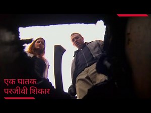 Scourge (2008) Film Explained in Hindi / Urdu Summarized हिन्दी