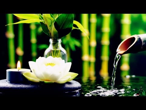 Japanese Bamboo Water Fountain Healing 24/7 | Nature Sounds & Relaxing Music for Stress Relief