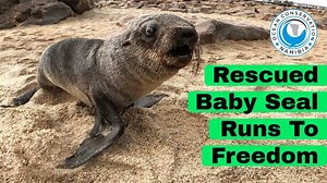 3.7K views · 541 reactions | It's our favorite part of our work when...