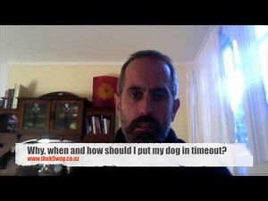 Why, when and how should I put my dog in timeout?